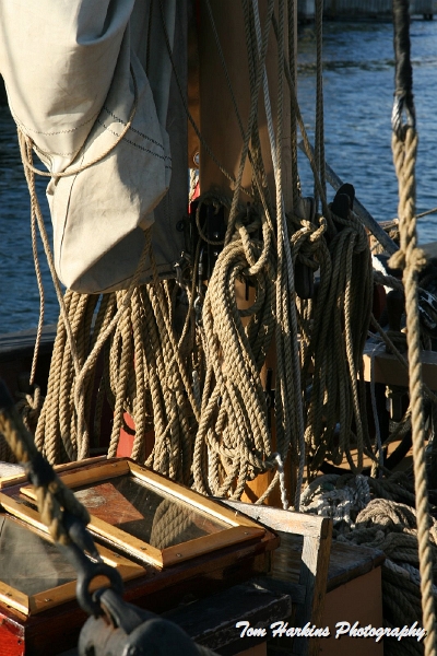 IMG_0734.JPG