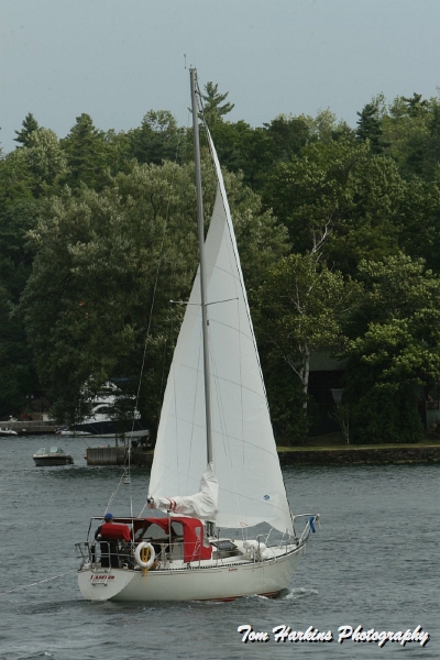 IMG_1157.JPG