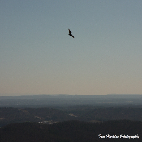 IMG_7516.JPG
