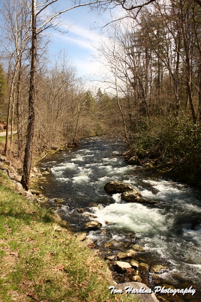 IMG_7720.JPG