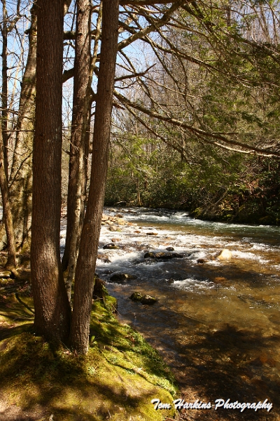 IMG_7753.JPG