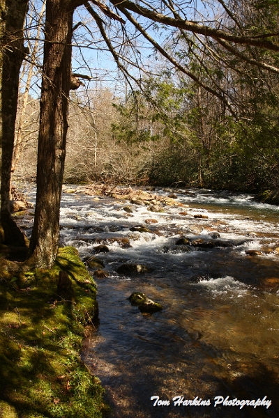 IMG_7756.JPG