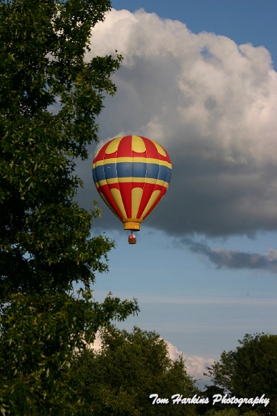 IMG_7988.JPG