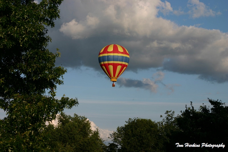 IMG_7996.JPG