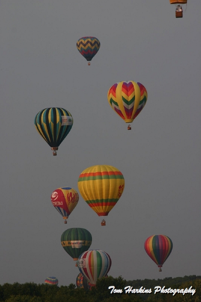 IMG_8550.JPG