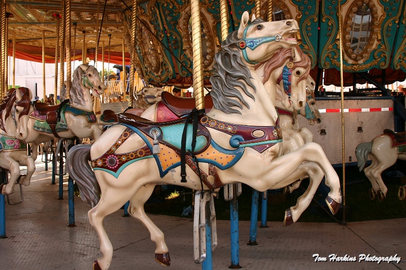 IMG_9976.JPG - Carousel HorseSussex County Fair, NJ