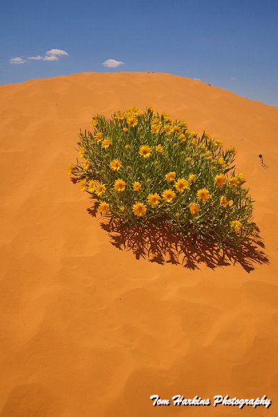 7D2_6613.jpg