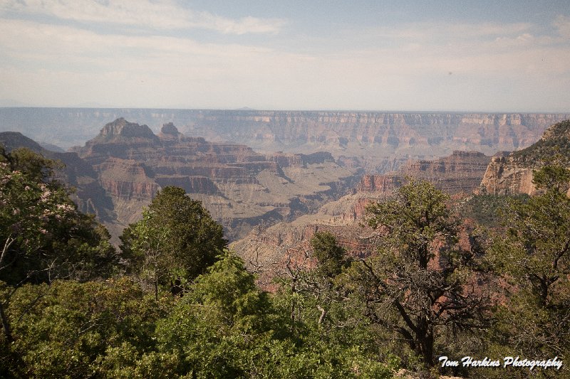 7D2_6052.jpg