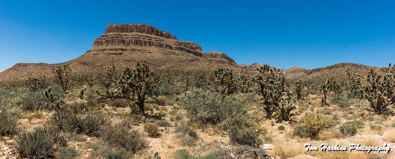 7D2_4386-Pano.jpg