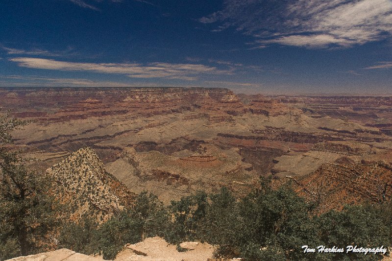 7D2_4539.jpg