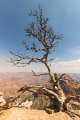 7D2_5895