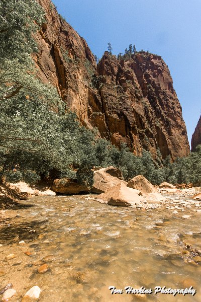 7D2_7564.jpg