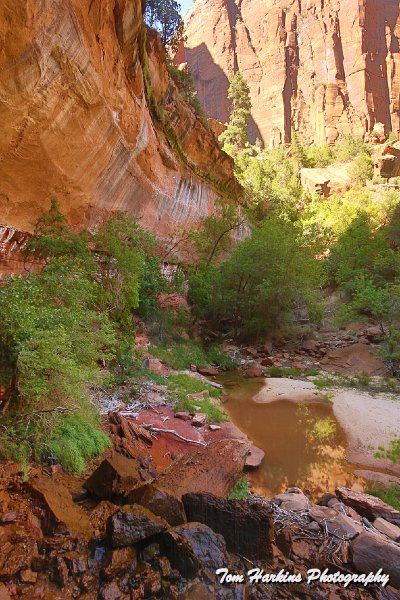 7D2_7763.jpg