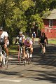 IMG_8633