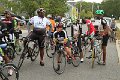 IMG_8555
