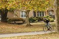 IMG_0106