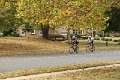 IMG_0135
