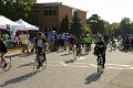 IMG_8528