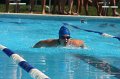 IMG_2020