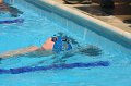 IMG_2203