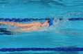 IMG_2246