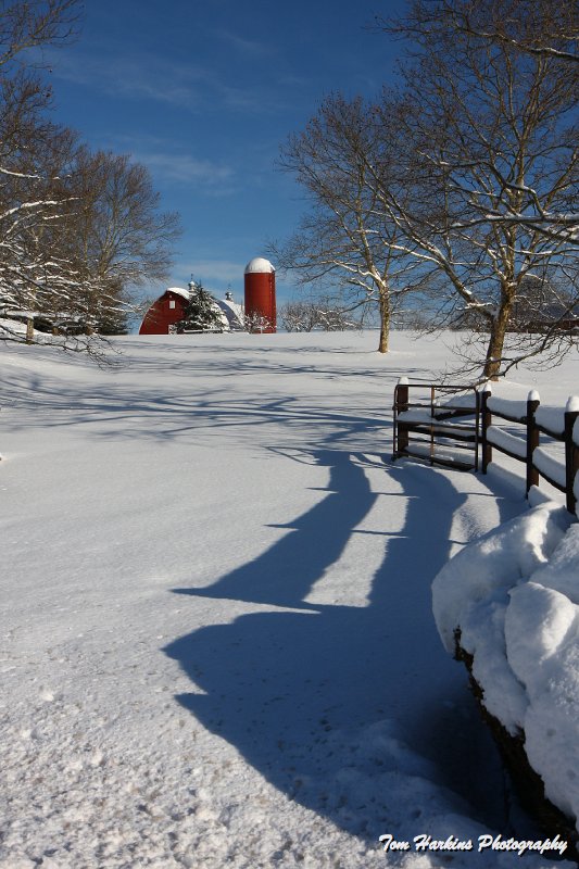 IMG_6044.JPG - Winter wonderland